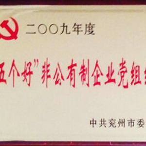 “五個(gè)好”非公有制企業(yè)黨組織